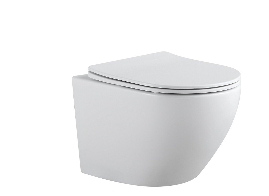 Изображение товара Подвесной безободковый унитаз Aquanet Cetus 2.0 W с микролифтом Slimseat, белый