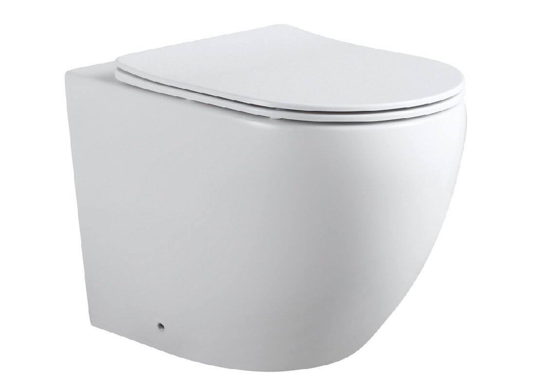 Изображение товара Приставной безободковый унитаз Aquanet Cetus 2.0 F LX-1902 с крышкой Slimseat, белый