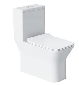 Изображение товара Напольный унитаз-моноблок Laguraty 8608A сиденье DP, Soft Close