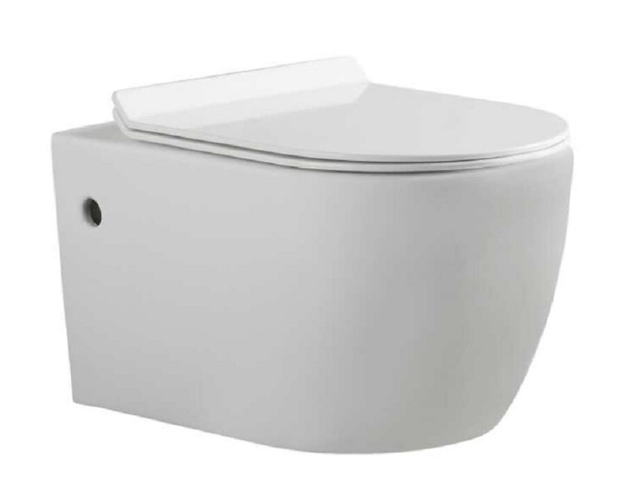 Изображение товара Подвесной безободковый унитаз Bravat Gina C21172UW-ENG с микролифтом