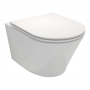 Изображение товара Подвесной безободковый унитаз Jacob Delafon Rodin+ EDY102-00/E23280-00 с крышкой микролифт