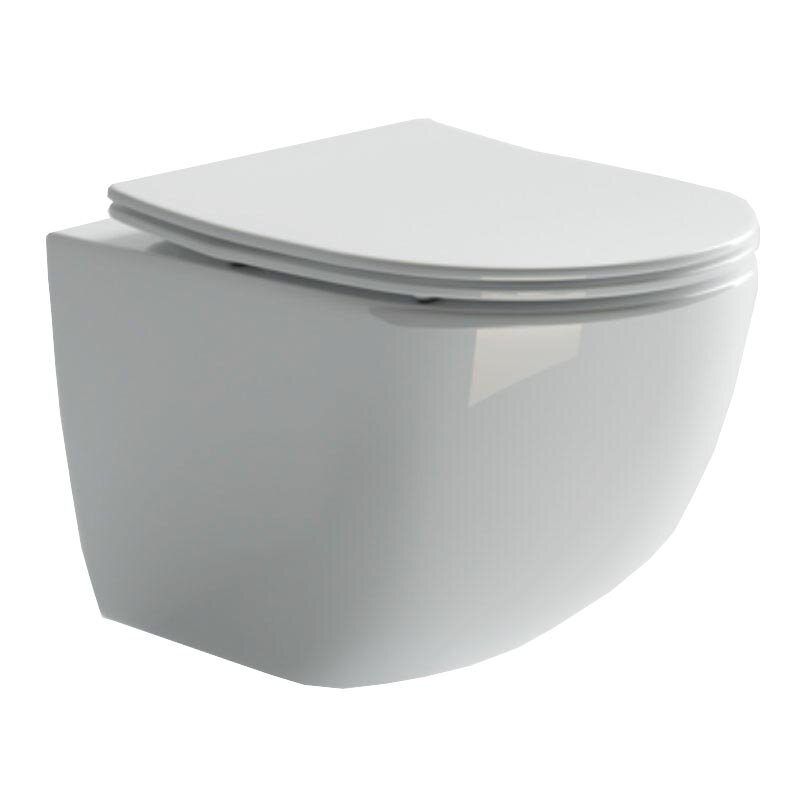 Изображение товара Подвесной унитаз Ceramicanova Forma Rimless CN3009 безободковый, с сиденьем Soft Close, сантехфарфор Изображение товара Подвесной унитаз Ceramicanova Forma Rimless CN3009 безободковый, с сиденьем Soft Close, сантехфарфор