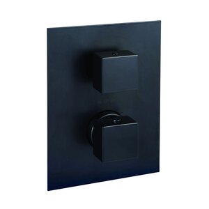 Изображение товара Смеситель Paffoni Elle LEQ518NO/M для душа термостатический, цвет черный матовый