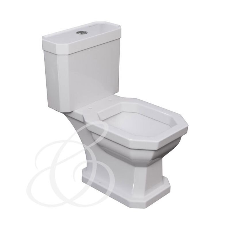 Изображение товара Напольный унитаз Caprigo Tempo 4713, бесободковый, двухрежимный, циркулярный слив, белый, Италия
