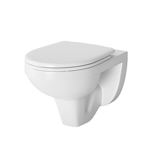 Изображение товара Подвесной унитаз Damixa Jupiter DX77C1738SC, крышка микролифт (выставочный образец, отсутствует упаковка)