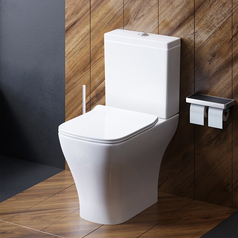 Изображение товара Унитаз Damixa Titan DX78C8600SC безободковый белый с двухрежимным сливом