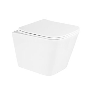 Изображение товара Унитаз подвесной BelBagno Due, безободковый, крышка микролифт, белый, BB3103CHR/SC