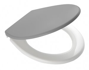 Изображение товара Крышка-сиденье Ridder Miami O2101107 для унитаза, микролифт, серый