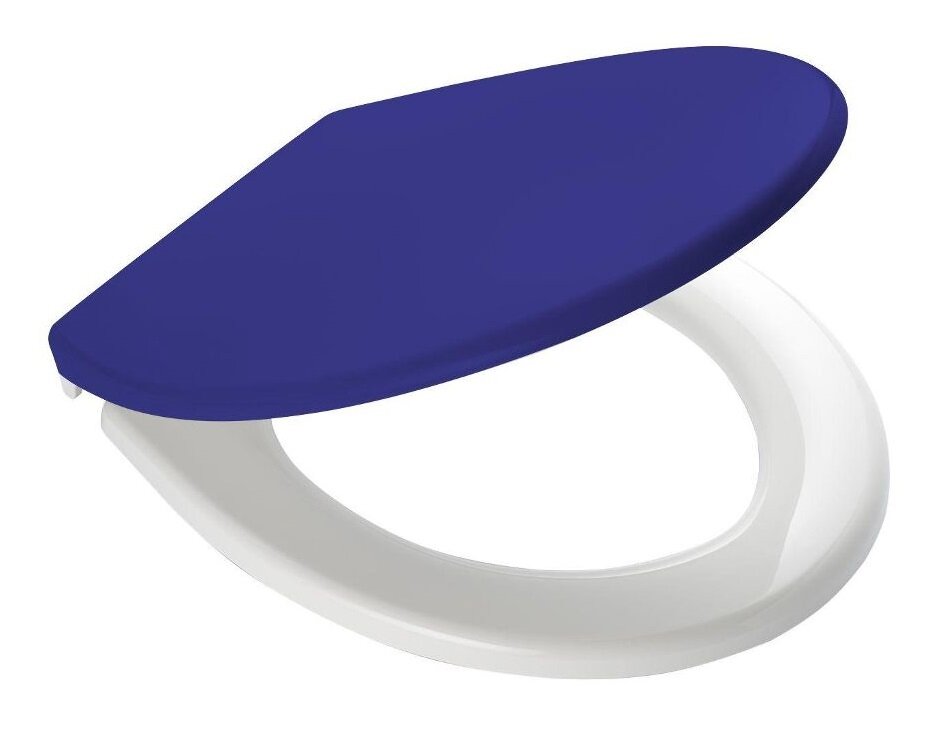 Изображение товара Крышка-сиденье Ridder Miami для унитаза с микролифтом и синим цветом