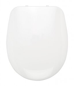 Изображение товара Крышка-сиденье Ridder Denver О2115101 с микролифтом белая