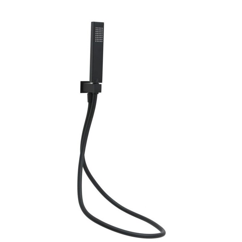 Изображение товара Душевой гарнитур Allen Brau Infinity 1 режим черный матовый латунь