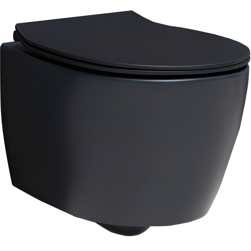 Изображение товара Подвесной унитаз Allen Brau Fantasy безободковый черный матовый