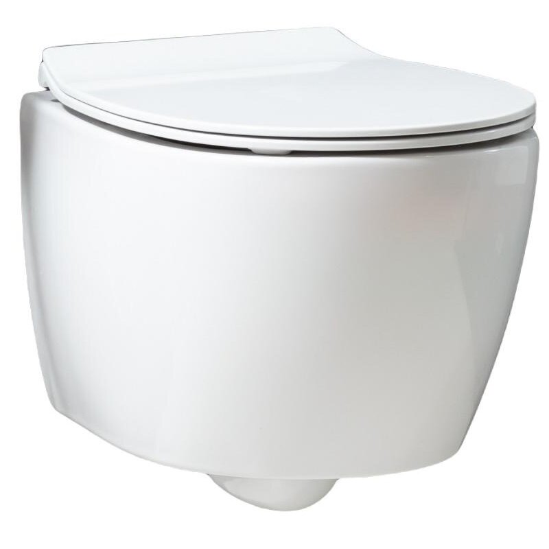 Изображение товара Подвесной унитаз Allen Brau Fantasy безободковый 4.11004.20 белый с системой каскадного смыва