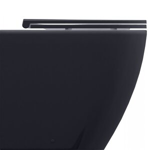 Изображение товара Приставной унитаз Allen Brau Reality 4.32004.AN безободковый, серый антрацит