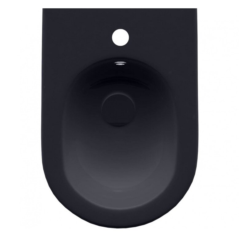 Изображение товара Напольное биде Allen Brau Reality 4.32005.AN серый антрацит 25 лет гарантия