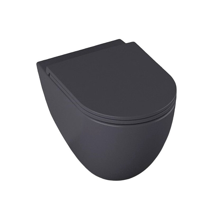 Изображение товара Подвесной унитаз Allen Brau Reality безободковый серый антрацит 4.32006.AN