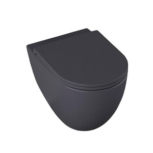 Изображение товара Подвесной унитаз Allen Brau Reality 4.32006.AN безободковый, серый антрацит