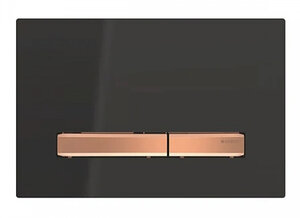 Изображение товара Клавиша Geberit Sigma Type 50 115.670.DW.2, черный