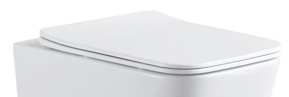 Изображение товара Крышка с сиденьем Sintesi дюропласт быстросъемная с микролифт для унитаза