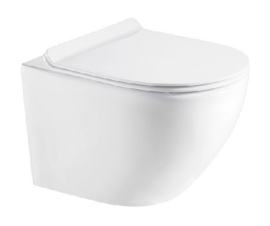 Изображение товара Подвесной безободковый унитаз Azario Fora AZ-0067 с микролифт и горизонтальным выпуском