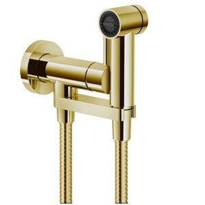 Изображение товара Гигиенический душ Nobili, AV00600GDP, со смесителем, цвет золото