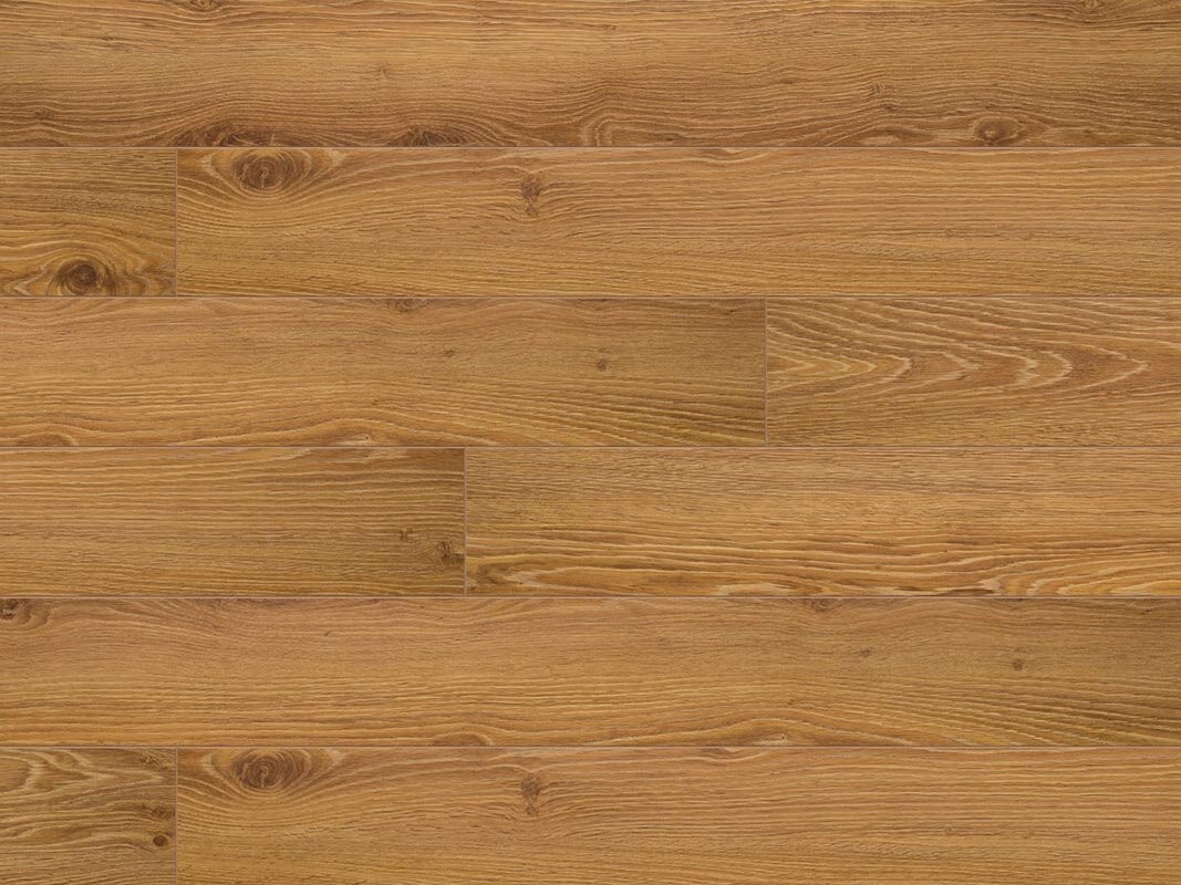Изображение товара Ламинат Classen Discovery 4V WR Argenta Oak Natural 10 мм замковый