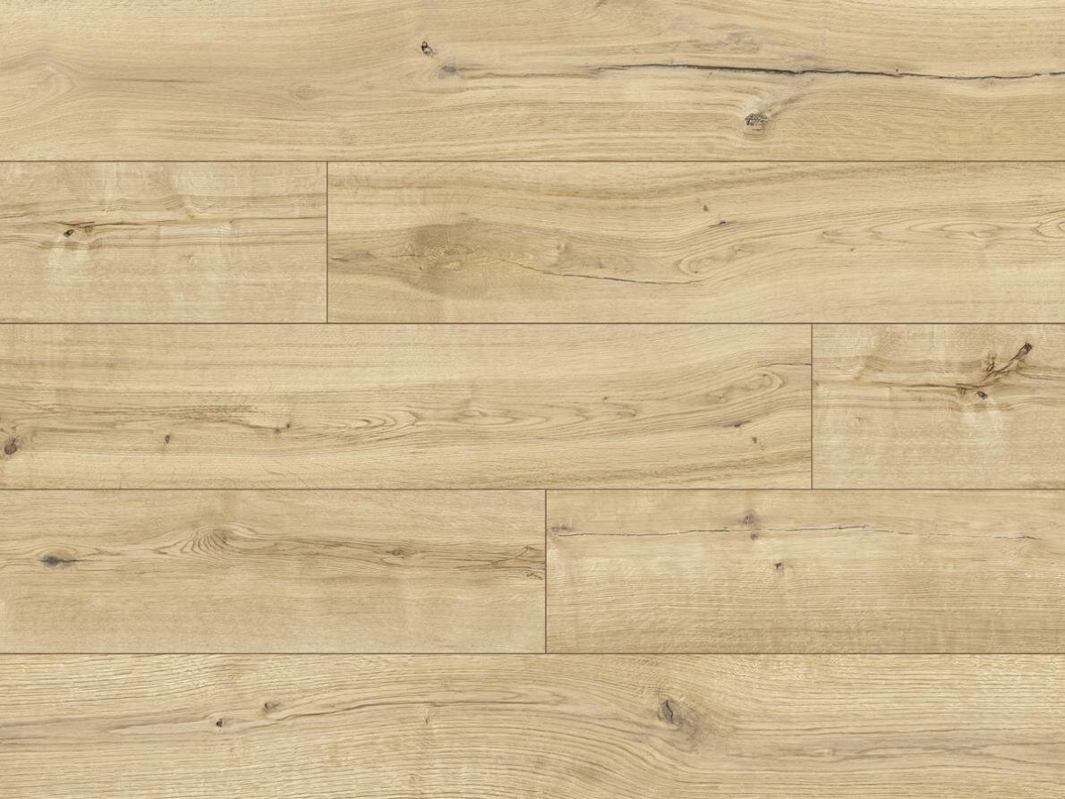 Изображение товара Ламинат Casa Energy WR 54041 Дуб Кабрилло Classen 8 мм