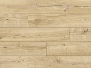 Изображение товара Ламинат Casa Energy WR 54041 Дуб Кабрилло (Classen )