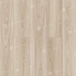 Ламинат Alpine Floor by Camsan Legno Extra, L1000, планка 19.25 х 120 см, декор Дуб Каньон, замковый, 8 мм - фото 1 Ламинат Alpine Floor by Camsan Legno Extra, L1000, планка 19.25 х 120 см, декор Дуб Каньон, замковый, 8 мм - фото 1