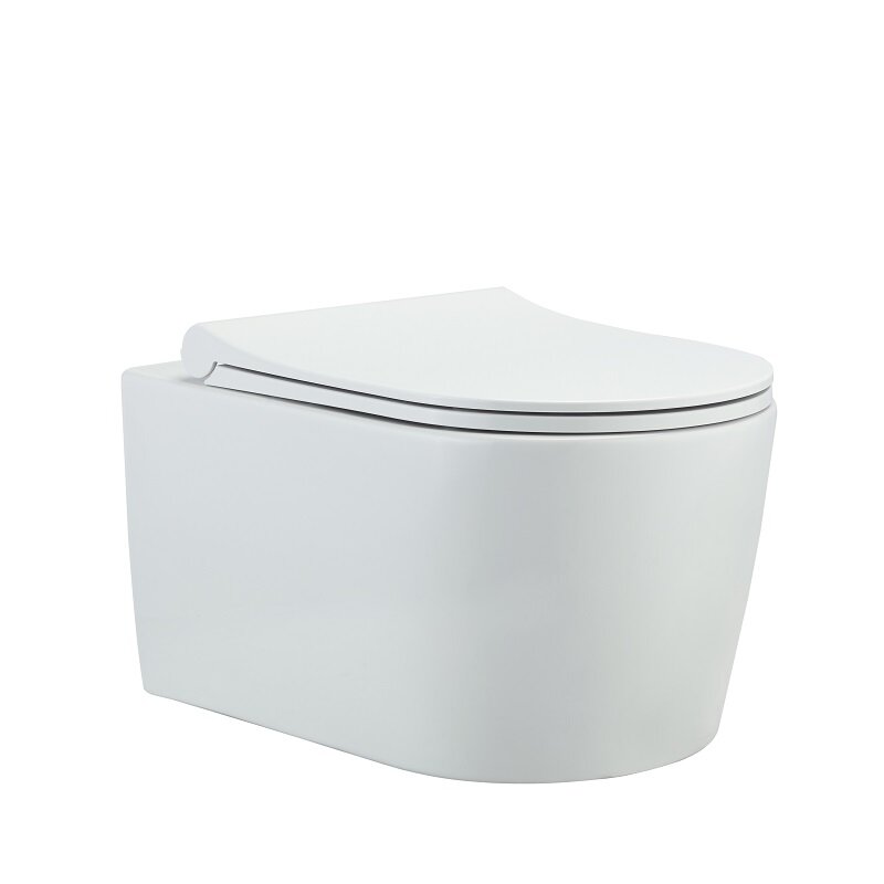 Изображение товара Подвесной безободковый унитаз BeWash Albano с быстросъемной крышкой и микролифтом