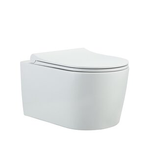 Изображение товара Подвесной безободковый унитаз BeWash Albano с быстросъемной крышкой и микролифтом