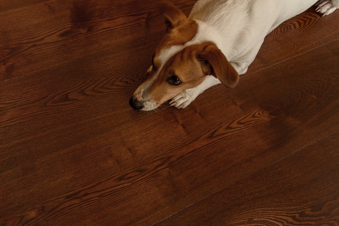 Изображение товара Массивная доска Amber Wood Ясень Шоколад браш лак 18 мм 12х30-180 см