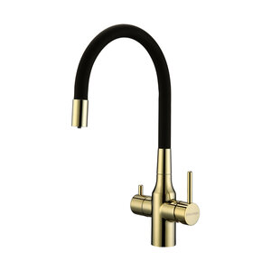 Изображение товара Смеситель для кухонной мойки Paulmark Salix Sa213419-G с гибким изливом и подключением фильтра