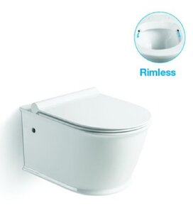 Изображение товара Безободковый подвесной унитаз SantiLine SL-5009 с микролифтом