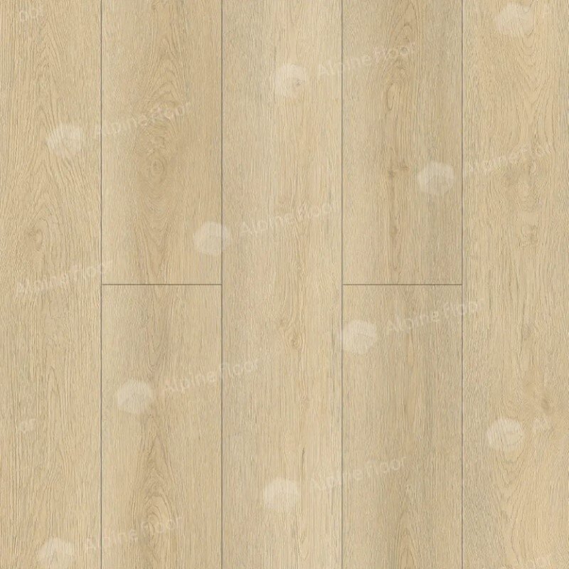 Изображение товара Виниловый ламинат SPC Alpine Floor Intense, ECO 9-13, планка 18.3 х 122 см, декор Тихий лес, подложка встроенная, замковый, 6 мм Изображение товара Виниловый ламинат SPC Alpine Floor Intense, ECO 9-13, планка 18.3 х 122 см, декор Тихий лес, подложка встроенная, замковый, 6 мм
