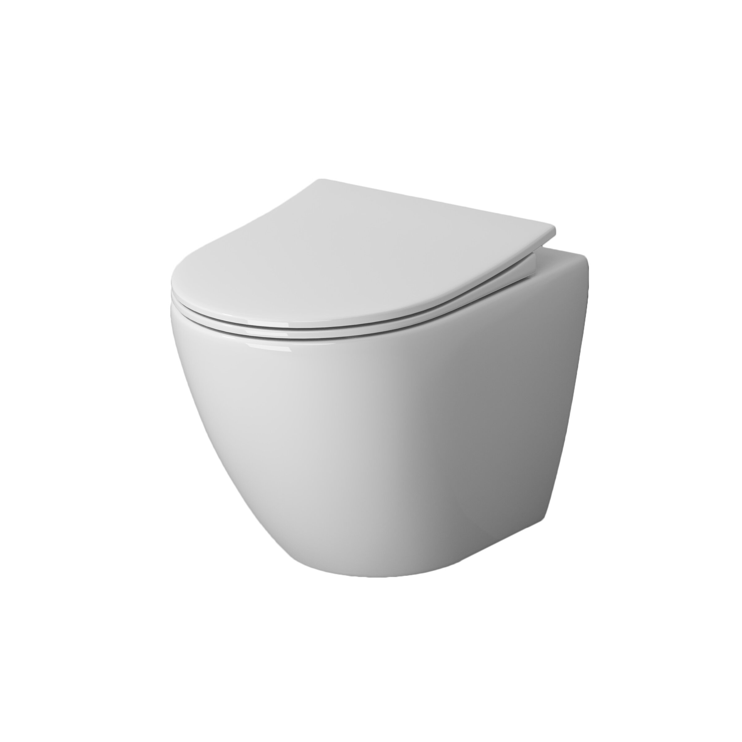 Изображение товара Подвесной безободковый унитаз Niagara Vista NG-9301 с сиденьем микролифт