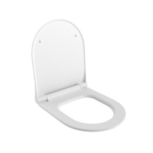 Изображение товара Крышка-сиденье для унитаза Ambassador Abner 102T20101S, быстросъемное с микролифтом, цвет белый матовый