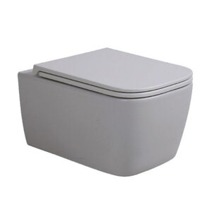 Изображение товара Подвесной унитаз Avimano Vision безободковый с крышкой микролифт серый матовый