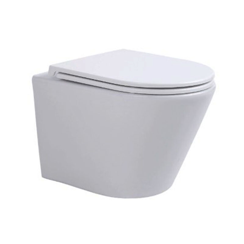 Изображение товара Подвесной унитаз Avimano Intuition 1000070, безободковый, с крышкой-сиденьем микролифт, белый