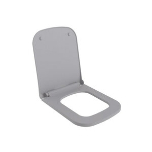 Изображение товара Крышка-сиденье для унитаза Ambassador Benefit 202T20301S быстросъемное с микролифтом