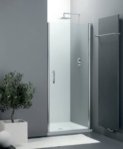 Изображение товара Душевая дверь Provex Elegance 0005 NE 28 GL распашная с регулировкой