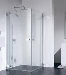 Душевая дверь распашная Provex E-lite 0005 ET 05 GL (L/R) - фото 1