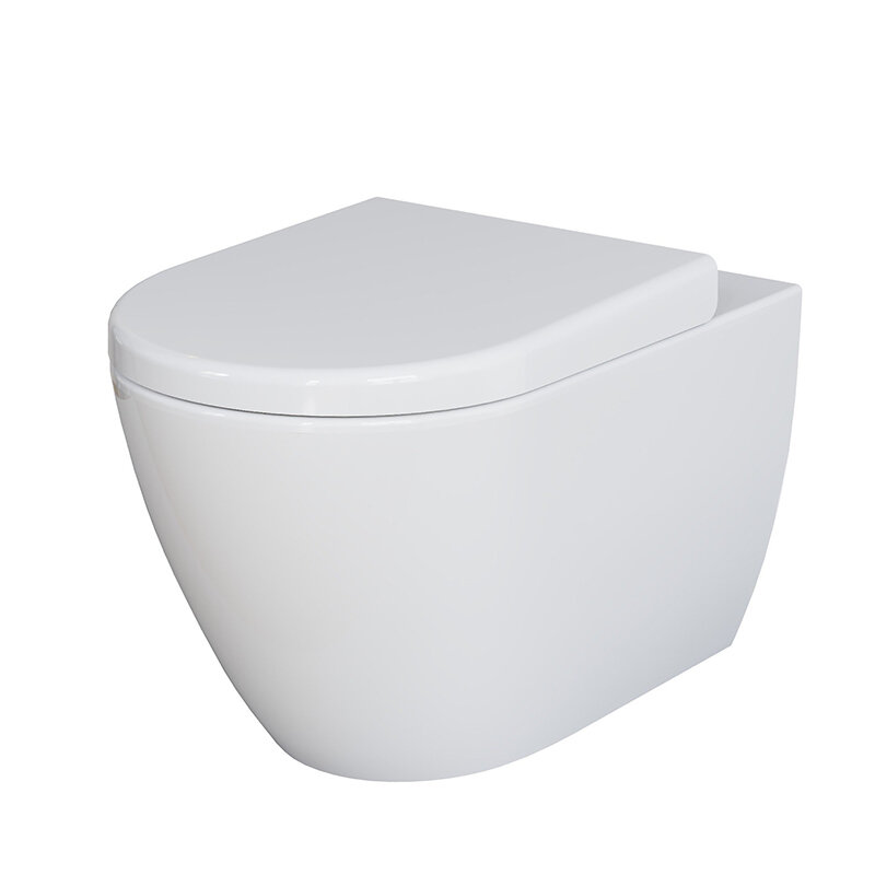 Изображение товара Подвесной унитаз Ambassador Queen 113T20001R, безободковый, цвет белый глянцевый