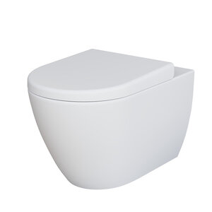 Изображение товара Подвесной унитаз Ambassador Queen безободковый белый матовый 113T20101R