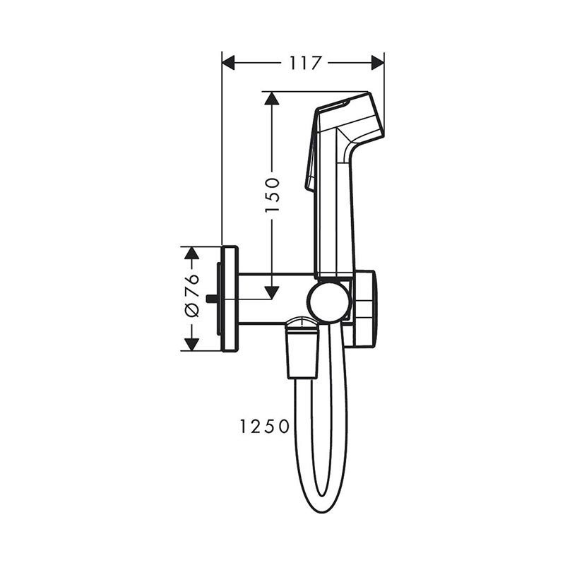 Гигиенический душ Hansgrohe Bidette S 1jet EcoSmart, 29232140, со ...