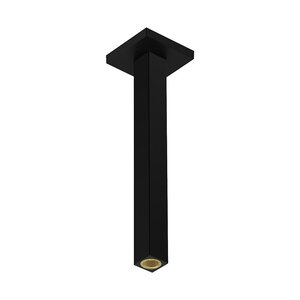 Изображение товара Держатель верхнего душа Hansgrohe Pulsify 24339670 E 30 см черный матовый