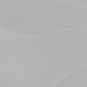 Изображение товара Керамическая плитка Porcelanosa Dayton V55908031 Ash 59.6х59.6 см, серый