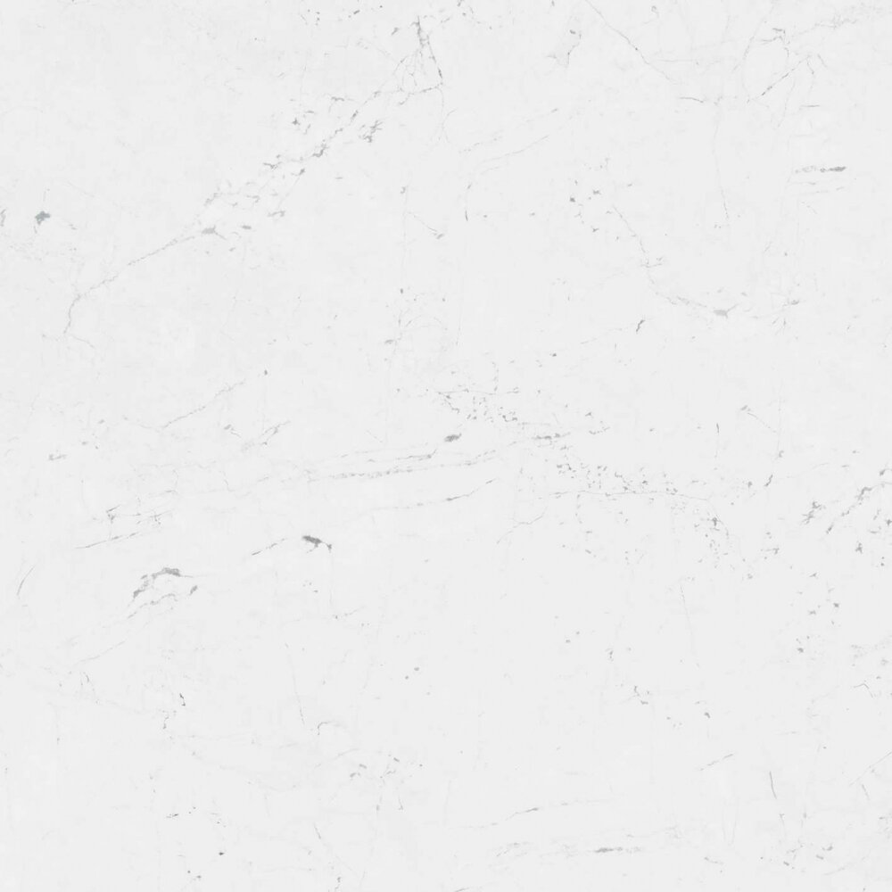 Изображение товара Керамогранит Porcelanosa Fontana 120x120 см белый матовый мраморный декор