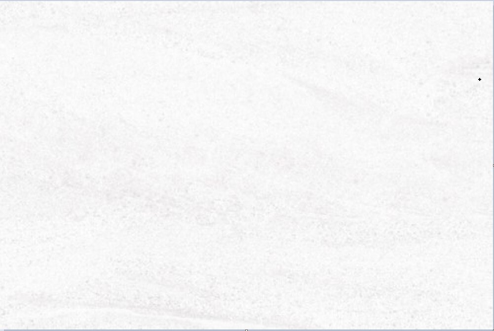 Изображение товара Керамогранит Porcelanosa Madagascar Blanco 44x66 см, белый, матовая поверхность