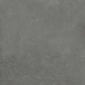 Изображение товара Керамогранит Porcelanosa Rhin 100162380 Taupe 44.3х44.3 см, серый